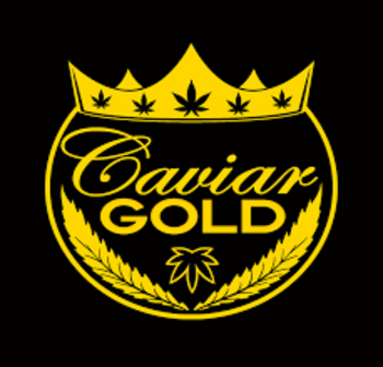 Caviar Gold