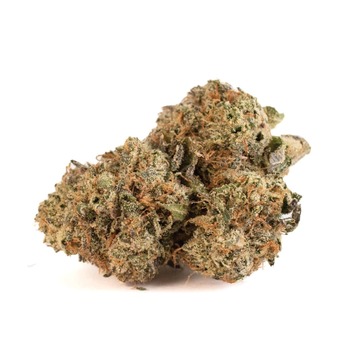 Orange Leaf Obama Runtz 28G