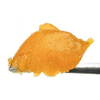 Honey Wine Live Resin Badder