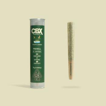 Tropicanna Preroll [0.75g]