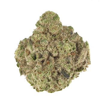 Orange Leaf Wedding Crasher 28G