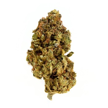 Orange Leaf Cherry Runtz 28G