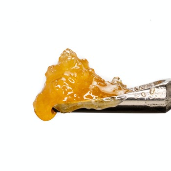 Cheetah Piss Live Resin Sauce