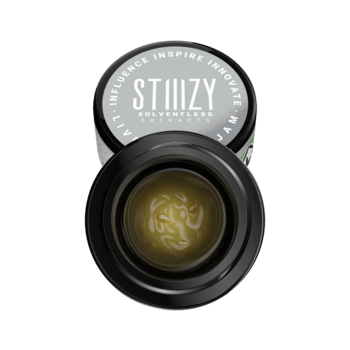 - GELATO MINTZ - Live Rosin Jam