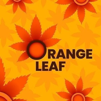 Orange Leaf Obama Runtz 28G