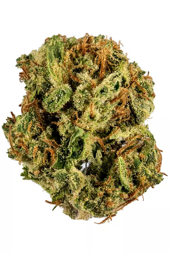 Orange Leaf Gumbo 28G