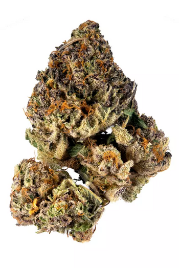 Orange Leaf Cherry OG 28G